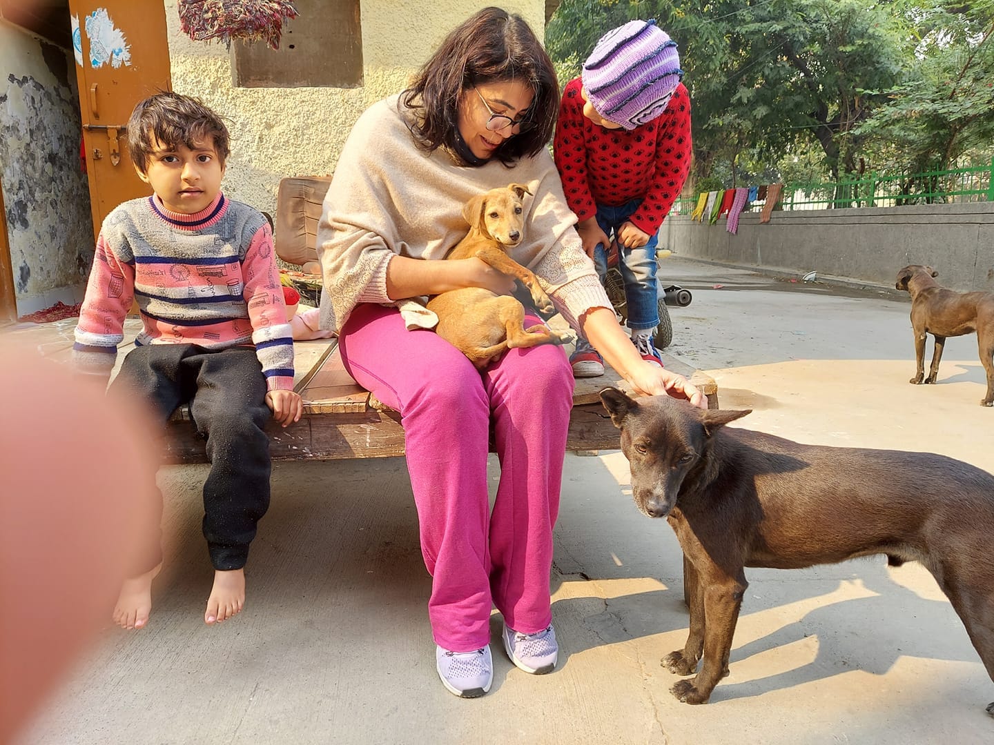 Stray Dogs Love