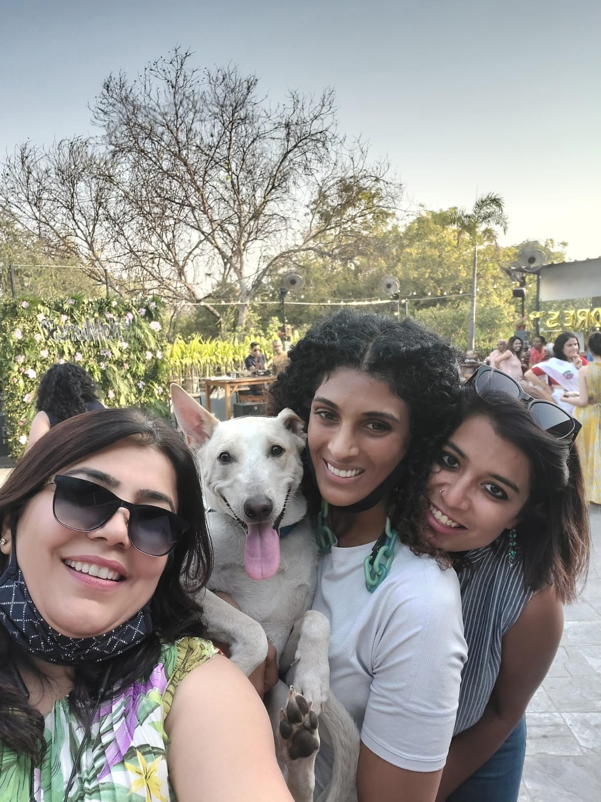 Stray Dogs Love